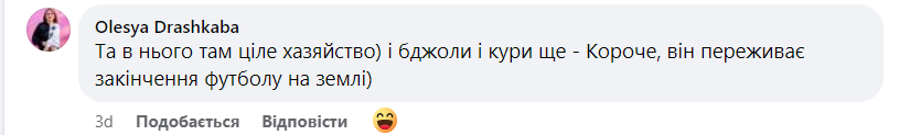 Девід Бекхем показав свою ферму: як відреагували українці фото 3