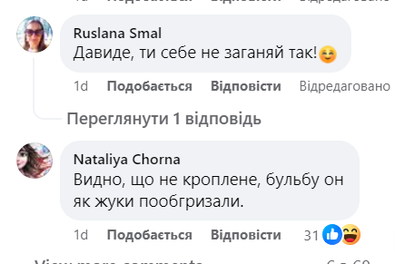 Девід Бекхем показав свою ферму: як відреагували українці фото 1